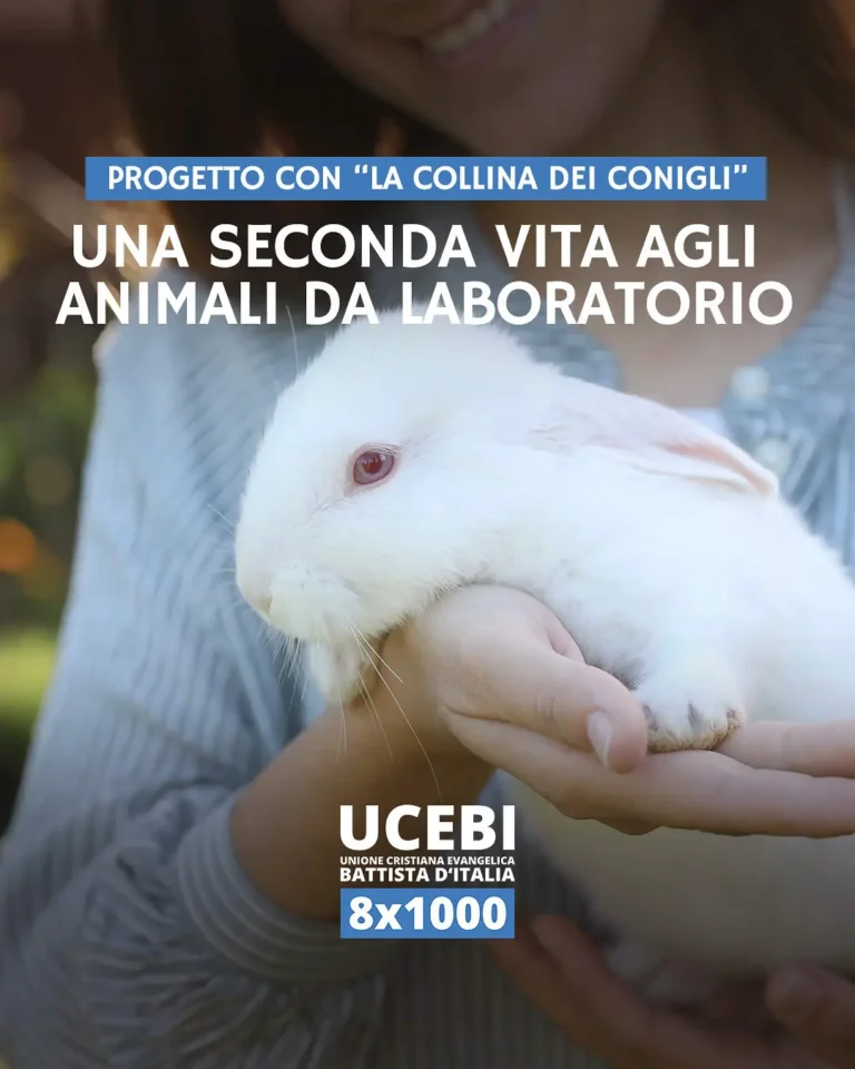 UCEBI - Il progetto &ldquo;Animali 2025&rdquo; con &ldquo;La Collina dei Conigli&rdquo;