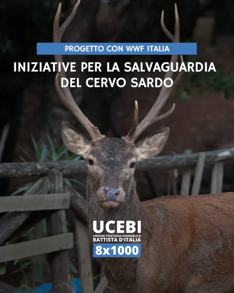 UCEBI - Progetto con WWF Italia