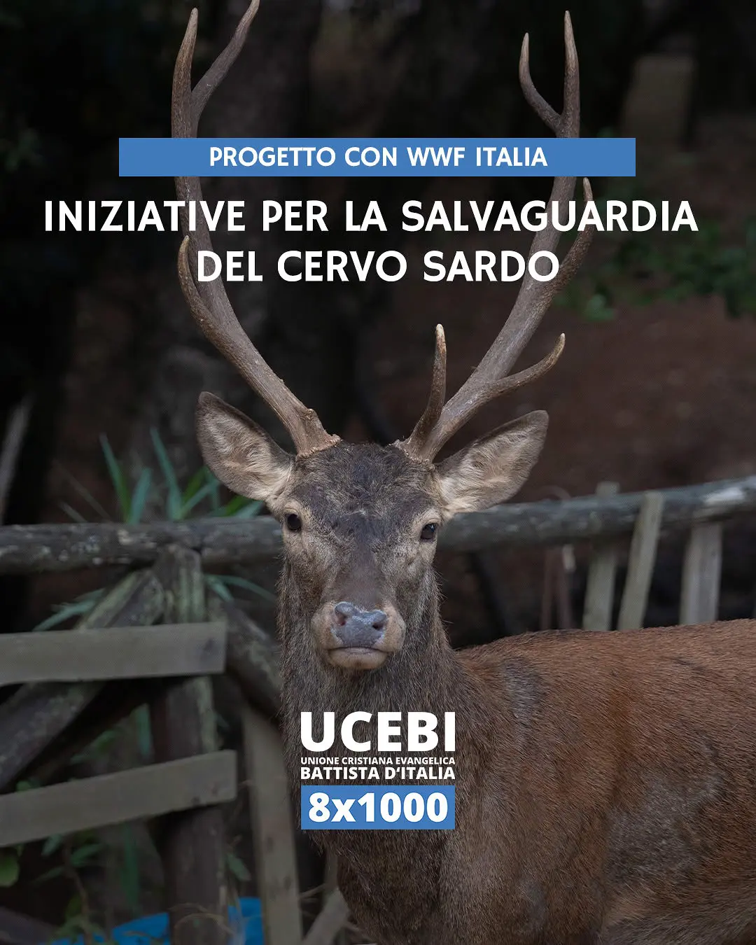 UCEBI - Progetto con WWF Italia