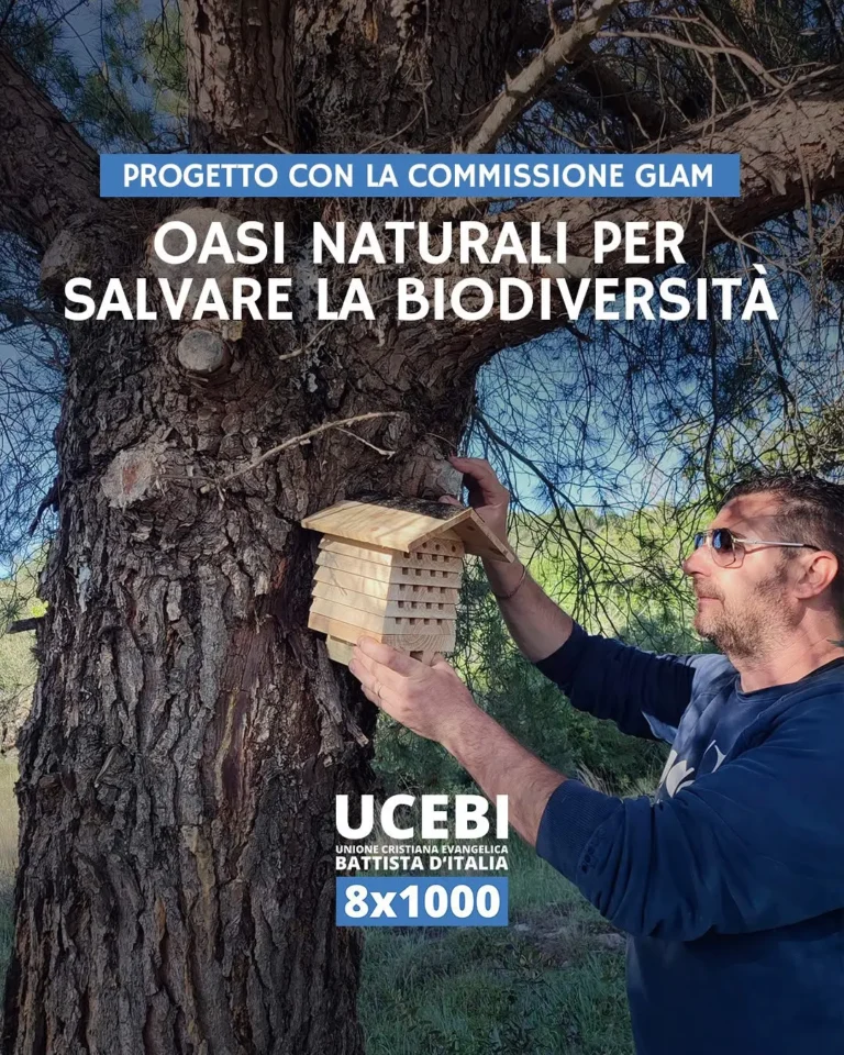 UCEBI - Progetto con la commissione GLAM