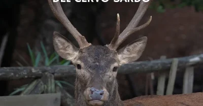 UCEBI - Progetto con WWF Italia